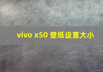 vivo x50 壁纸设置大小